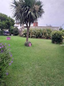 eine Palme in der Mitte eines Gartens in der Unterkunft Casa de ensueño a pasos del mar in Camet Norte