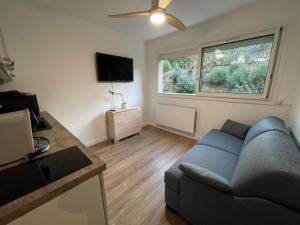 een woonkamer met een blauwe bank en een raam bij Studio avec canapé lit 2 places dans pièce de vie et lit une place dans coin nuit in Saint-Mandrier-sur-Mer