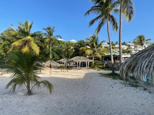 a sandy beach with palm trees and umbrellas on it at Ti coin de paradis Anse des Rochers in Saint-François