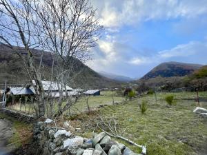een veld met een stenen muur, een boom en een gebouw bij La Casona de Omaña in Fasgar
