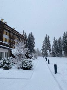 Maison Poluc - Petit Bijou v zimě