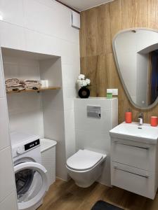 ein Badezimmer mit Toilette, Waschbecken und Spiegel in der Unterkunft Apartament nad rzeką 2 in Kowary
