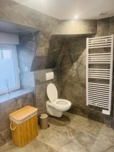 a bathroom with a toilet and a window at wihi-loges - Appartement type grand T2, calme, centre-ville de Nevers in Nevers