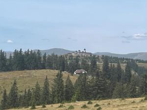 una casa in cima a una collina con alberi di Adriana Phoenix's Bird a Horezu