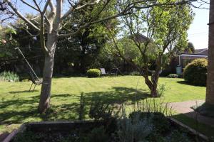 a yard with two trees and a swing at Comfortable Homestay by Earith Lakes in Earith