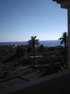 uma vista para o oceano e palmeiras a partir de uma janela em Casa Isidoro em Valle Gran Rey
