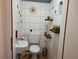 a small bathroom with a toilet and a sink at Ferienwohnung am Hotel "Mein Bergblick" in Goslar +16 photos