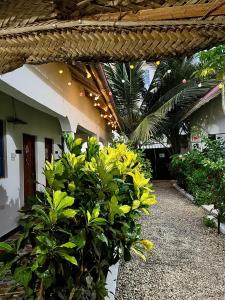 a building with a bunch of green plants and a building at Reef Nungwi House in Nungwi