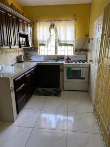 a kitchen with a sink and a stove at GranAnn's Place in Kingston +11 photos