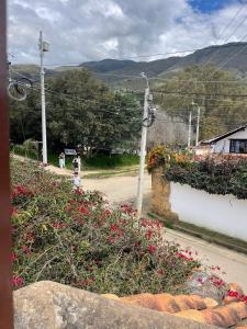 En generel udsigt til bjerge eller udsigt til bjerge taget fra pensionatet