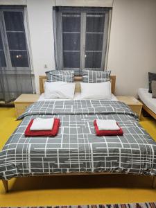 a bed with two red pillows on top of it at Privat Grosse Zimmer, Mars, mit gemeinsamer Küche und Bad in Altstadt Chur in Chur +8 photos