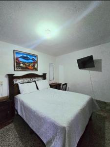 ein Schlafzimmer mit Bett und Flachbildfernseher in der Unterkunft Casa de la Torre in Antigua Guatemala