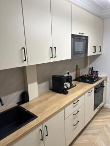 Køkken eller tekøkken på Central Apartment Luxury Suceava