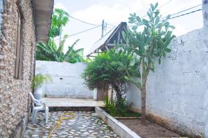 Un patio con una silla y un árbol al lado de un edificio. en Spice Garden Lodge B&B, en Zanzíbar