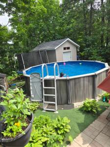 een zwembad met een huis en een hond erin bij Nature view retreat in Gatineau