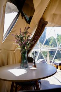 Billede fra billedgalleriet på Glamping Domo Tinaja y Piscina Climatizada i Molina + 13 billeder