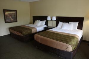 Wetmore的住宿－Econo Lodge Inn & Suites Munising Area，两间位于酒店客房内的床铺,