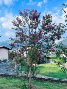 een boom met paarse bloemen in een tuin bij La Casetta di Renzo e Lucia in Olginate