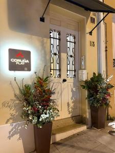 due piante in vaso posizionate davanti a una porta di CoruñaFlat Apartments - Centro A Coruña a La Coruña