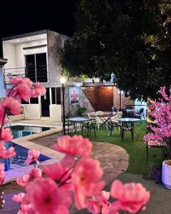 En have udenfor Villa Napoli Apartment Suites + 23 billeder