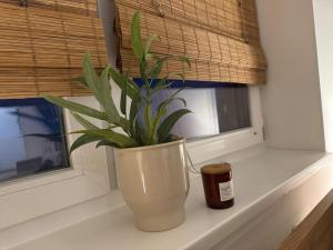 een plant in een vaas zittend op een vensterbank bij BOHO Apartment Soleil in Freilassing