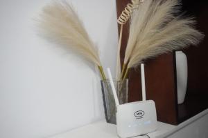 a vase with feathers in it next to a speaker at SEJOURABIDJAN - Residences Cocody Angré in Abidjan