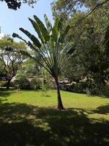 Ảnh trong thư viện ảnh của Win Villa ở Sosúa