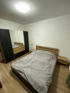 Postel nebo postele na pokoji v ubytování Apartament în Parc