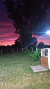 un campo di notte con un albero e un lampione di Cabaña El Atardecer 2 a Necochea