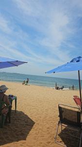 Naturlandskabet i nærheden af lejligheden