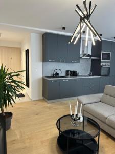 Køkken eller tekøkken på Apartman Toma