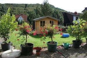 eine Gruppe von Topfbäumen vor einem Haus in der Unterkunft Haus Schneider, große Ferienwohnung in Wolfshagen