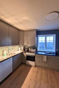 Køkken eller tekøkken på Torshov Gård, Viking grounds