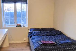 En eller flere senge i et værelse på Torshov Gård, Viking grounds