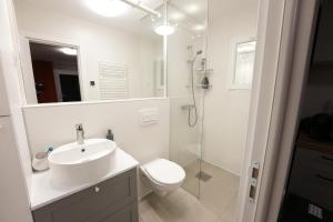 a bathroom with a sink and a toilet and a shower at Alpine Yard Nest Busteni in Buşteni +33 photos