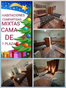 Patagonia Mágica في بونتا أريناس: مجموعة صور لشجرة عيد الميلاد في غرفة