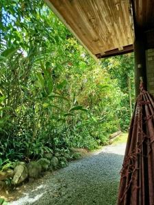 Příroda nedaleko chaty