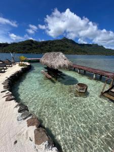 Příroda nedaleko hotelu + 67 fotografií