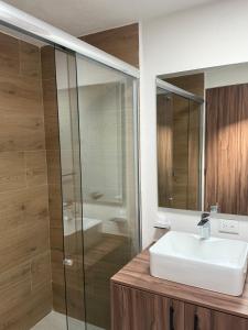 a bathroom with a sink and a shower at Casa Cholula in La Concepción