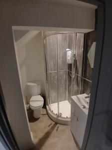 a bathroom with a shower and a toilet and a sink at Elegant Broadway Retreat w Parking & Dog Friendly in Broadway