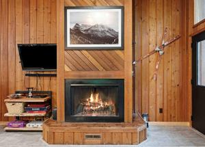 Μια τηλεόραση ή/και κέντρο ψυχαγωγίας στο Chalet Chic! Lake and Ski Access Nearby Fish Pond