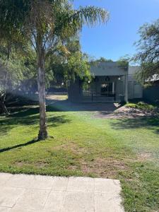 una casa con una palma nel cortile di Camino Marquez a Santiago del Estero