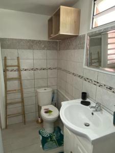 ein Badezimmer mit Toilette und Waschbecken in der Unterkunft Le Tomaflo in Le Marin