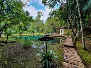 a wooden path leading to a pond in a forest at Pousada das Cavernas in Iporanga +87 photos