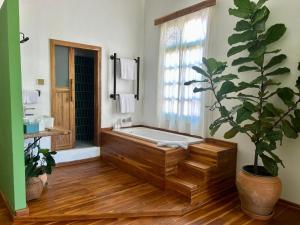 ein Badezimmer mit einer Badewanne und einer Topfpflanze in der Unterkunft Baan Samsa in Luang Prabang
