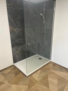 una doccia con una porta in vetro in un bagno di Spacieux appartement cozy a Saales