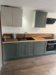 una cucina con armadi verdi e lavandino di Spacieux appartement cozy a Saales