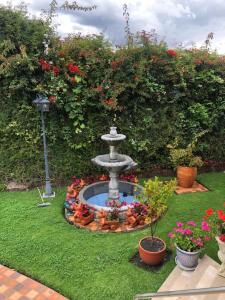 En have udenfor Villa Las Flores