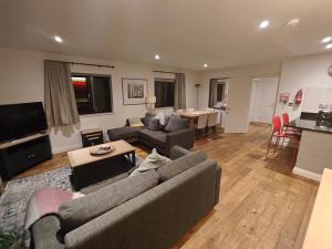 TV a/nebo společenská místnost v ubytování Trenython Manor Resort