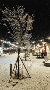 Jecheon J Glamping v zimě